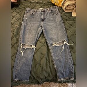 Abercrombie & Fitch curve love jeans